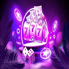 7755bet com