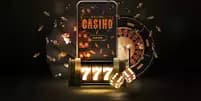 7755bet com