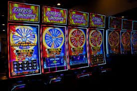 7755bet com 7755bet com